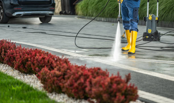 Best Soft Washing for Delicate Surfaces in Irvine, CA